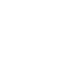 dot icon